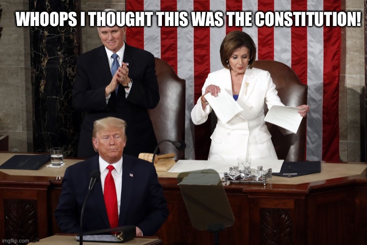 She Wishes | WHOOPS I THOUGHT THIS WAS THE CONSTITUTION! | image tagged in nancy pelosi rips trump speech | made w/ Imgflip meme maker