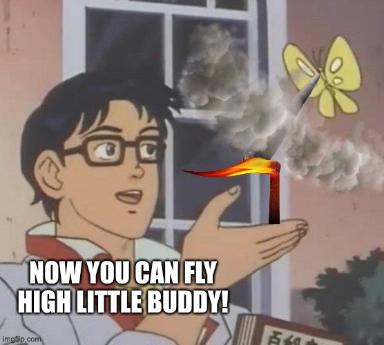 Fly High | NOW YOU CAN FLY HIGH LITTLE BUDDY! | image tagged in smoke,getting high,butterfly man | made w/ Imgflip meme maker
