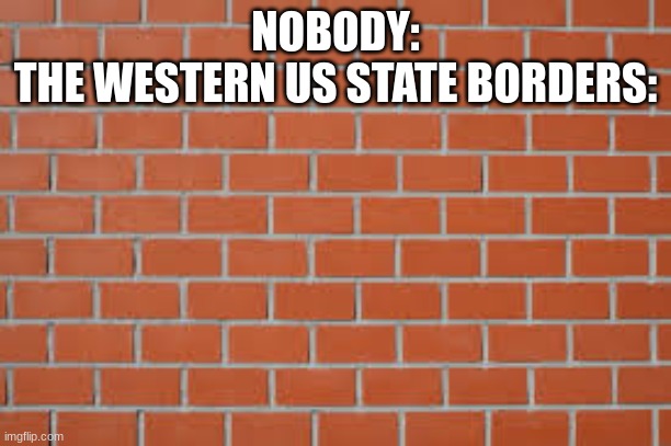brick wall | NOBODY:
THE WESTERN US STATE BORDERS: | image tagged in brick wall | made w/ Imgflip meme maker
