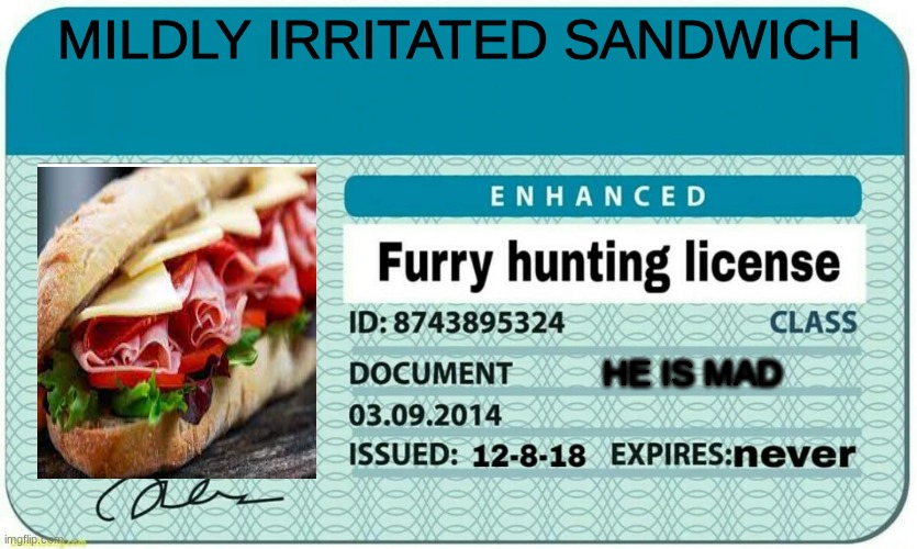 furry hunting license | MILDLY IRRITATED SANDWICH; HE IS MAD | image tagged in furry hunting license | made w/ Imgflip meme maker