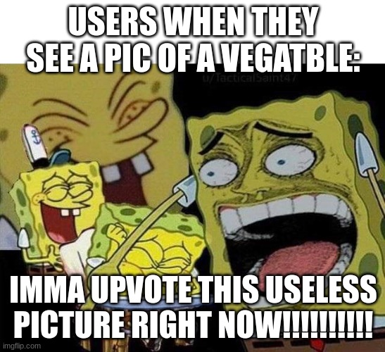 Spongebob laughing | USERS WHEN THEY SEE A PIC OF A VEGATBLE:; IMMA UPVOTE THIS USELESS PICTURE RIGHT NOW!!!!!!!!!! | image tagged in spongebob laughing | made w/ Imgflip meme maker