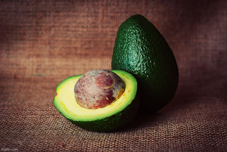 Let's see how many views this avocado gets before the end of February (copy paste this around) | image tagged in avocado | made w/ Imgflip meme maker