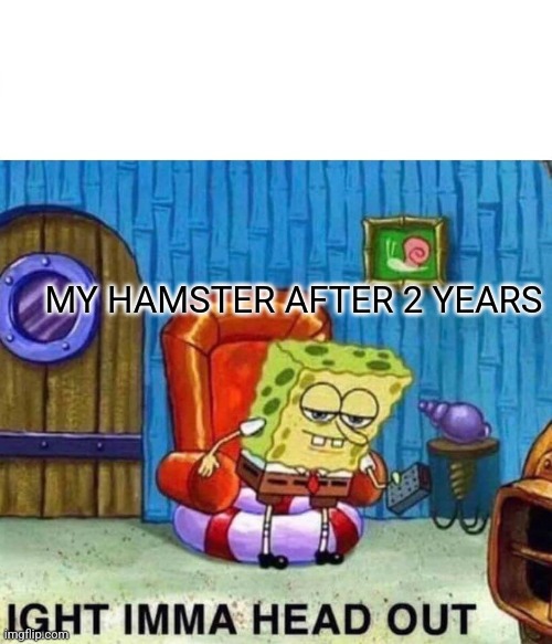 Rip | MY HAMSTER AFTER 2 YEARS | image tagged in memes,spongebob ight imma head out | made w/ Imgflip meme maker