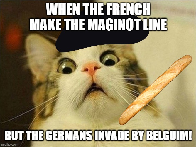 (laughs in german) | WHEN THE FRENCH MAKE THE MAGINOT LINE; BUT THE GERMANS INVADE BY BELGUIM! | image tagged in france,history memes,history | made w/ Imgflip meme maker