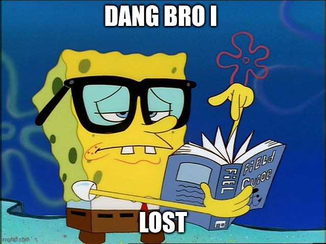 Spongebob nerd | DANG BRO I LOST | image tagged in spongebob nerd | made w/ Imgflip meme maker