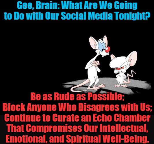 "All [X] Deniers and Anti-[-xers] Get Blocked!" | Gee, Brain: What Are We Going to Do with Our Social Media Tonight? Be as Rude as Possible; Block Anyone Who Disagrees with Us; Continue to Curate an Echo Chamber That Compromises Our Intellectual, Emotional, and Spiritual Well-Being. | image tagged in pinky and the brain,social media,internet etiquette,fragile egos,online drama,partisan weakness | made w/ Imgflip meme maker