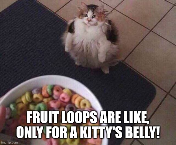 Fruit Loops | FRUIT LOOPS ARE LIKE, ONLY FOR A KITTY'S BELLY! | image tagged in fruit loops | made w/ Imgflip meme maker