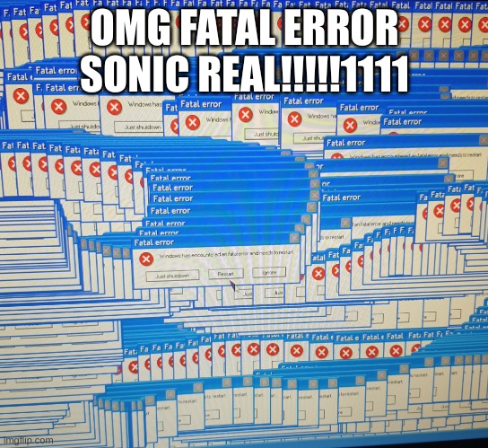 A fatal error | OMG FATAL ERROR SONIC REAL!!!!!1111 | image tagged in a fatal error | made w/ Imgflip meme maker