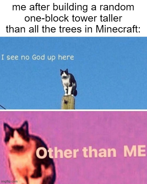 I see no god up here... OTHER THAN ME | me after building a random one-block tower taller than all the trees in Minecraft: | image tagged in hail pole cat | made w/ Imgflip meme maker