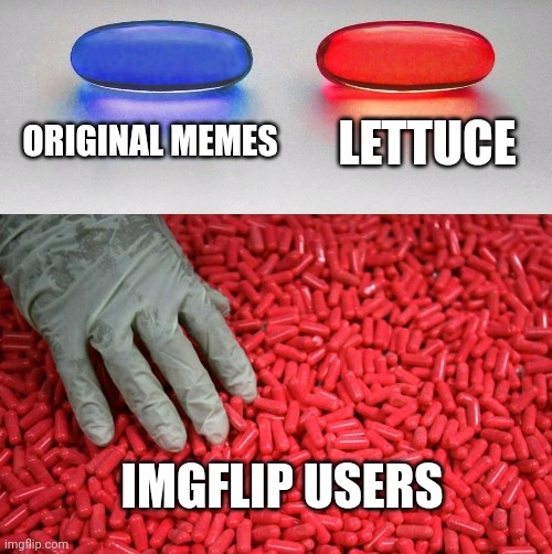 Why | ORIGINAL MEMES; LETTUCE; IMGFLIP USERS | image tagged in blue or red pill,upvote begging,why are you reading this,memes | made w/ Imgflip meme maker