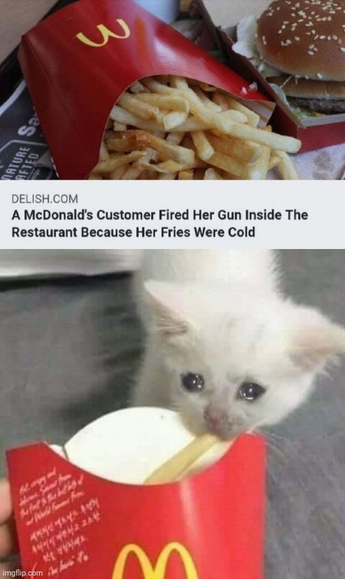 Cold fries | image tagged in cat last of french fries mcdonalds,mcdonald's,customer,french fries,fries,memes | made w/ Imgflip meme maker