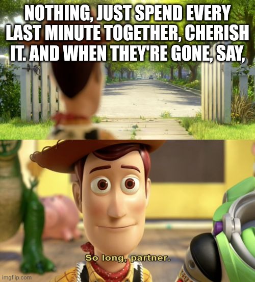 So long partner | NOTHING, JUST SPEND EVERY LAST MINUTE TOGETHER, CHERISH IT. AND WHEN THEY'RE GONE, SAY, | image tagged in so long partner | made w/ Imgflip meme maker