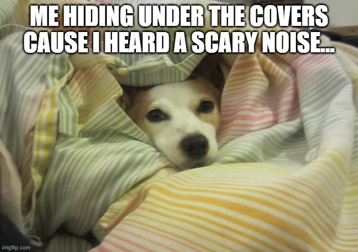 There's a monster! | ME HIDING UNDER THE COVERS CAUSE I HEARD A SCARY NOISE... | image tagged in dog hiding under a blanket | made w/ Imgflip meme maker