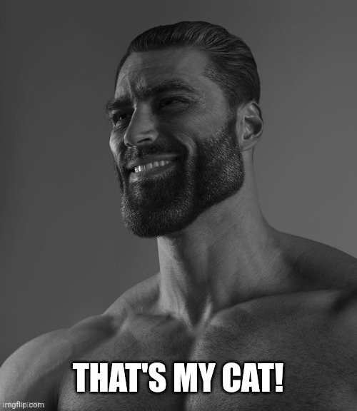 Giga Chad | THAT'S MY CAT! | image tagged in giga chad | made w/ Imgflip meme maker