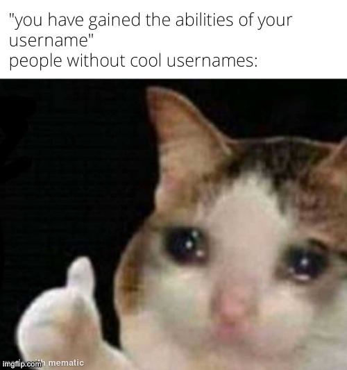 image tagged in repost,memes,funny,crying cat,username,usernames | made w/ Imgflip meme maker