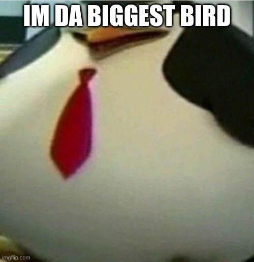 Thicc Skipper | IM DA BIGGEST BIRD | image tagged in thicc skipper | made w/ Imgflip meme maker