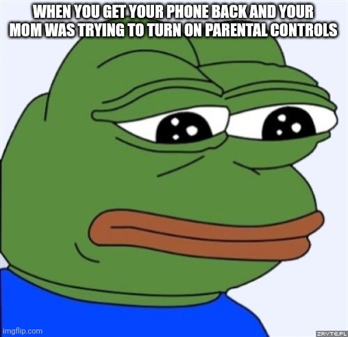 Good thing she didn't understand how | WHEN YOU GET YOUR PHONE BACK AND YOUR MOM WAS TRYING TO TURN ON PARENTAL CONTROLS | image tagged in sad frog | made w/ Imgflip meme maker