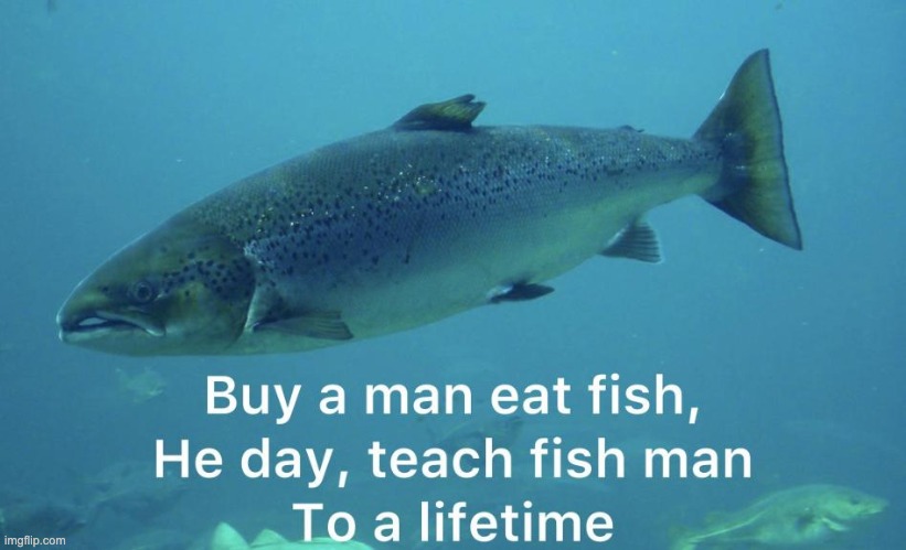 fish. | image tagged in fish,memes,funny,repost,fishfish,fishfishfishfishfishfishfish | made w/ Imgflip meme maker