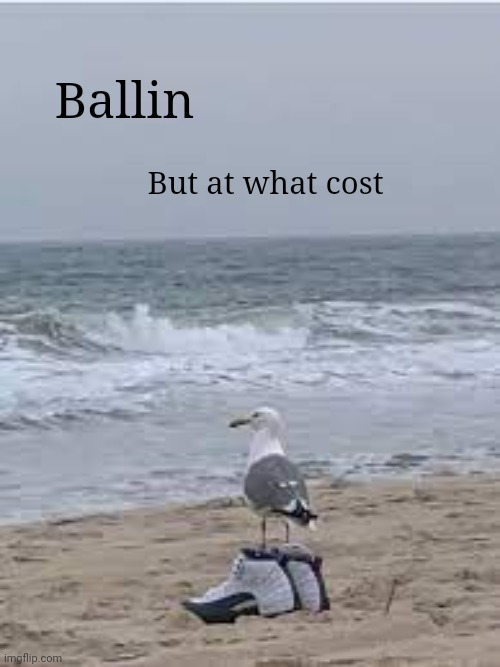 Ballin but at what cost | Ballin But at what cost | image tagged in ballin but at what cost | made w/ Imgflip meme maker