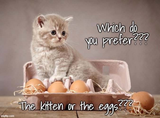 Decisions, Decisions... | Which do you prefer??? The kitten or the eggs??? | image tagged in kittens,eggs,your choice | made w/ Imgflip meme maker