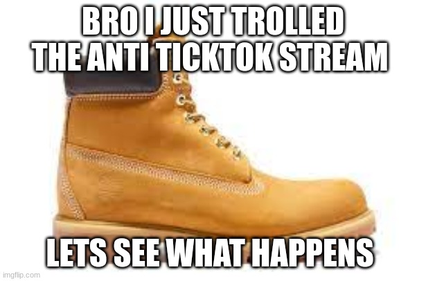 mf really think they funny | BRO I JUST TROLLED THE ANTI TICKTOK STREAM; LETS SEE WHAT HAPPENS | made w/ Imgflip meme maker