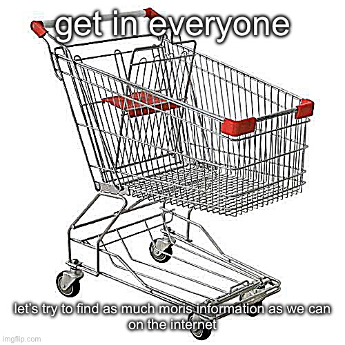 no context | get in everyone; let’s try to find as much moris information as we can
on the internet | made w/ Imgflip meme maker