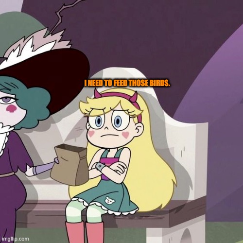 I need to feed those birds. | I NEED TO FEED THOSE BIRDS. | image tagged in birds,svtfoe,star butterfly,star vs the forces of evil,memes,funny | made w/ Imgflip meme maker