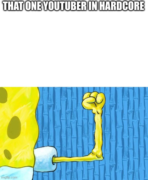 Spongebob weak arm | THAT ONE YOUTUBER IN HARDCORE | image tagged in spongebob weak arm | made w/ Imgflip meme maker