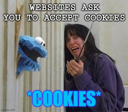 When websites ask you to accept cookies | WEBSITES ASK YOU TO ACCEPT COOKIES; *COOKIES* | image tagged in cookie monster shining | made w/ Imgflip meme maker