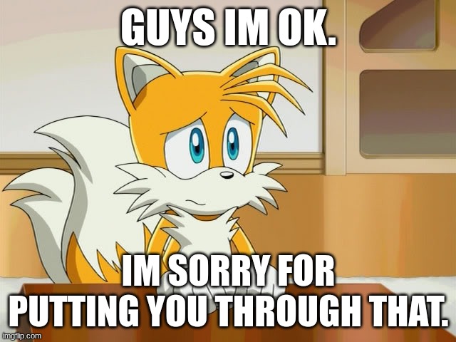 ...IM SO SORRY! | GUYS IM OK. IM SORRY FOR PUTTING YOU THROUGH THAT. | image tagged in sorry | made w/ Imgflip meme maker