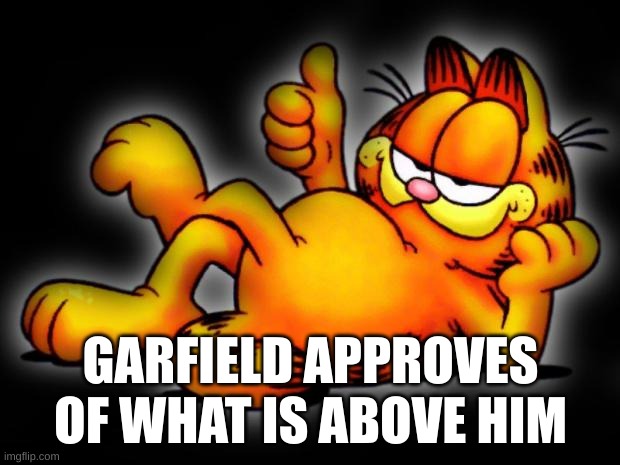 garfield thumbs up | GARFIELD APPROVES OF WHAT IS ABOVE HIM | image tagged in garfield thumbs up | made w/ Imgflip meme maker