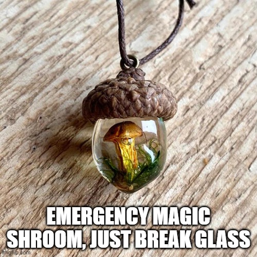 magic mushroom | EMERGENCY MAGIC SHROOM, JUST BREAK GLASS | image tagged in mushroom,hallucinogenic,emergency | made w/ Imgflip meme maker