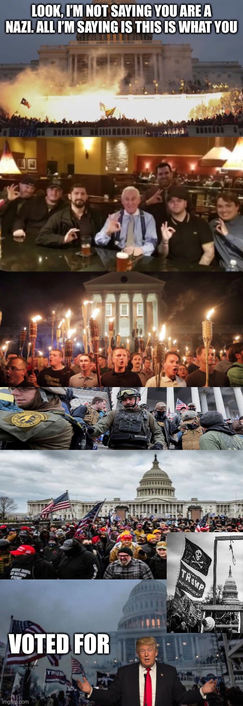 LOOK, I’M NOT SAYING YOU ARE A NAZI. ALL I’M SAYING IS THIS IS WHAT YOU; VOTED FOR | image tagged in capital riot,racist assholes,charlottesville neo-nazi march,oath keepers - trump's terrorists militia insurrection capitol | made w/ Imgflip meme maker