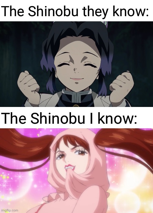 Shinobu from One Piece and Shinobu from Demon Slayer, basically Shinobu everywhere XD | The Shinobu they know:; The Shinobu I know: | image tagged in shinobu approves,memes,demon slayer,one piece,shinobu,the x they know the x i know | made w/ Imgflip meme maker