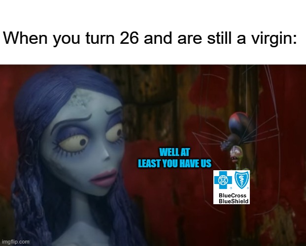 When you turn 26 and are still a virgin:; WELL AT LEAST YOU HAVE US | image tagged in memes,birthday,health insurance,virgin,lonely,dating | made w/ Imgflip meme maker