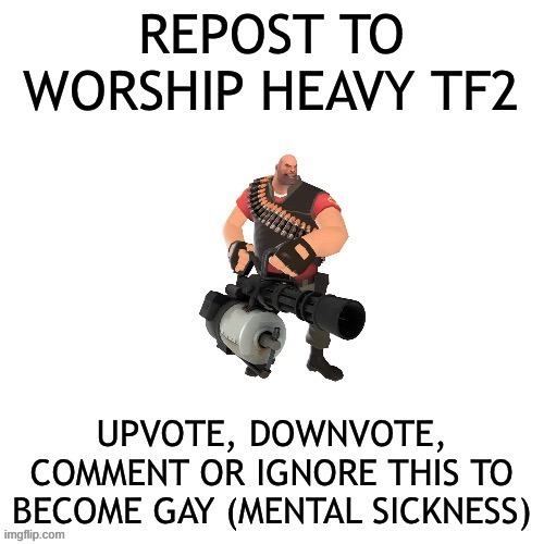 nope | image tagged in not gay,tf2 | made w/ Imgflip meme maker