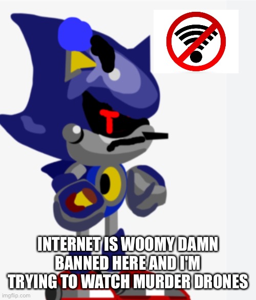 INTERNET IS WOOMY DAMN BANNED HERE AND I'M TRYING TO WATCH MURDER DRONES | image tagged in metal sonic doll isnt in the mood | made w/ Imgflip meme maker