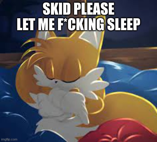 LET ME SLEEP | SKID PLEASE LET ME F*CKING SLEEP | image tagged in more,info,tommorrow | made w/ Imgflip meme maker