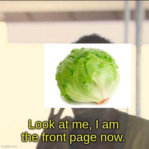 Look At Me Meme | Look at me, I am the front page now. | image tagged in memes,look at me,lettuce,why are you reading this,funny,ok stop reading the tags | made w/ Imgflip meme maker