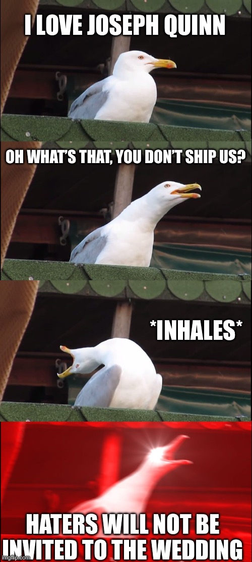 Inhaling Seagull Meme | I LOVE JOSEPH QUINN; OH WHAT’S THAT, YOU DON’T SHIP US? *INHALES*; HATERS WILL NOT BE INVITED TO THE WEDDING | image tagged in memes,inhaling seagull | made w/ Imgflip meme maker