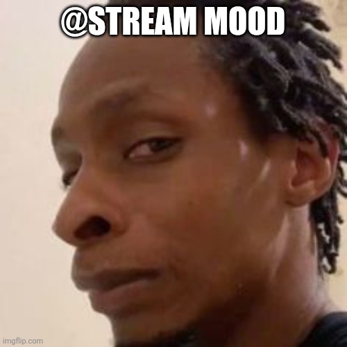 fr? | @STREAM MOOD | image tagged in fr | made w/ Imgflip meme maker