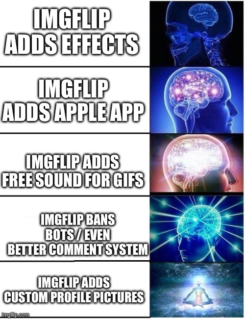 Expanding Brain 5 Panel |  IMGFLIP ADDS EFFECTS; IMGFLIP ADDS APPLE APP; IMGFLIP ADDS FREE SOUND FOR GIFS; IMGFLIP BANS BOTS / EVEN BETTER COMMENT SYSTEM; IMGFLIP ADDS CUSTOM PROFILE PICTURES | image tagged in expanding brain 5 panel | made w/ Imgflip meme maker