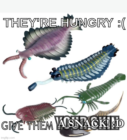 Hungy Paleozoic buds |  THEY'RE HUNGRY :(; GIVE THEM; YOUR SKIN; A SNACK! :D | image tagged in memes,dinosaur,weird,hungry,shrimp,extinction | made w/ Imgflip meme maker