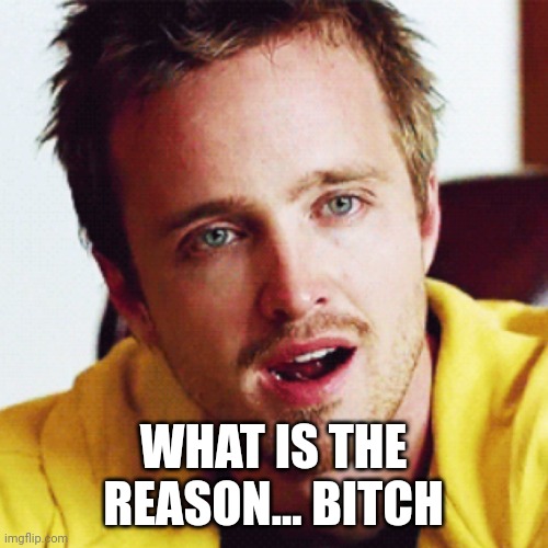 Jesse Pinkman | WHAT IS THE REASON... BITCH | image tagged in jesse pinkman | made w/ Imgflip meme maker