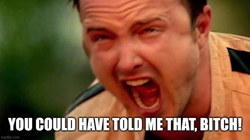 Aaron Paul Screaming | YOU COULD HAVE TOLD ME THAT, BITCH! | image tagged in aaron paul screaming | made w/ Imgflip meme maker