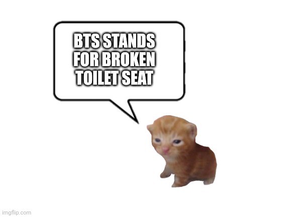 Ok here comes the army | BTS STANDS FOR BROKEN TOILET SEAT | image tagged in blank white template | made w/ Imgflip meme maker