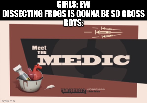 true | GIRLS: EW DISSECTING FROGS IS GONNA BE SO GROSS
BOYS: | image tagged in meet the medic | made w/ Imgflip meme maker