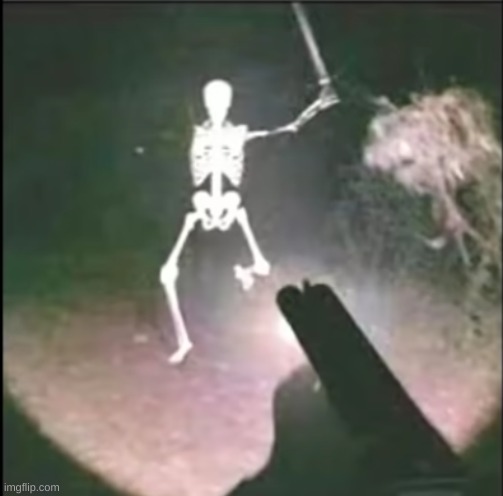 Next stream mood: skeleton | image tagged in skeleton attack | made w/ Imgflip meme maker