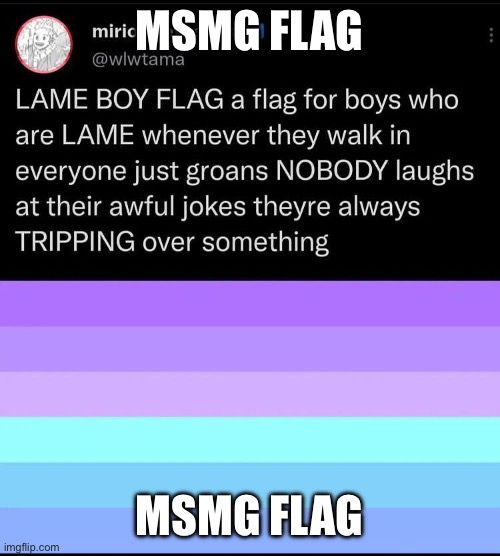 MSMG FLAG; MSMG FLAG | made w/ Imgflip meme maker