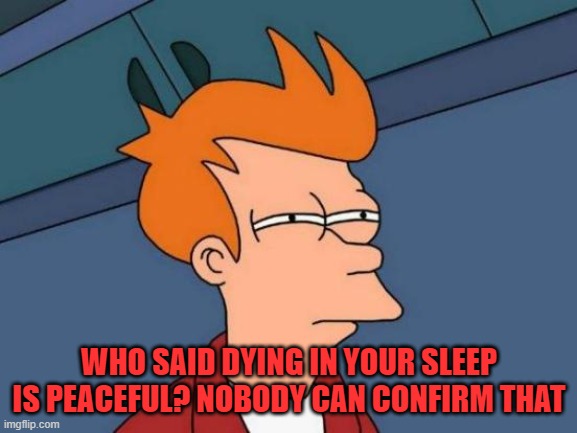 Futurama Fry | WHO SAID DYING IN YOUR SLEEP IS PEACEFUL? NOBODY CAN CONFIRM THAT | image tagged in memes,futurama fry | made w/ Imgflip meme maker